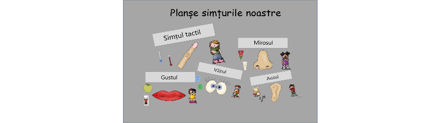 Planșe - simțuri